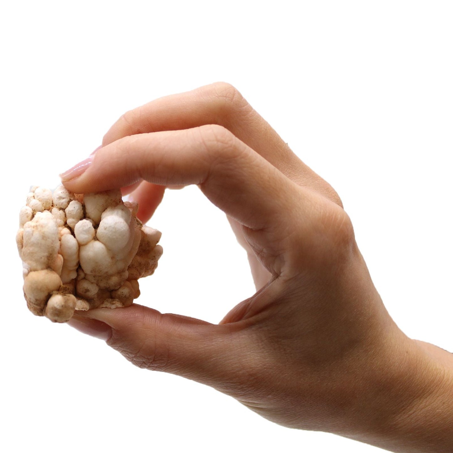 Alt Tag: Flower Calcite Specimens – 20-Piece Collection mineral specimen held in hand, natural blossom-like calcite formation