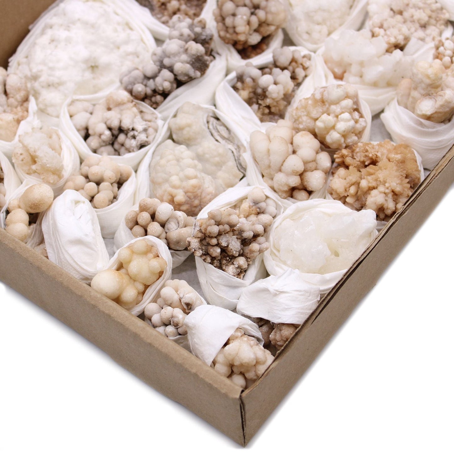 Alt Tag: Flower Calcite Specimens – 20-Piece Collection, boxed set of beige and white flower-like calcite mineral clusters wrapped for protection