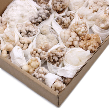 Alt Tag: Flower Calcite Specimens – 20-Piece Collection, boxed set of beige and white flower-like calcite mineral clusters wrapped for protection