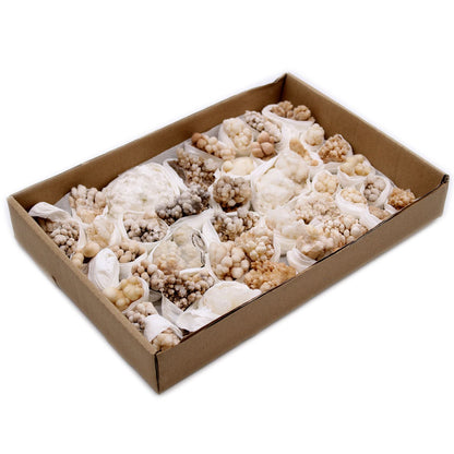 Alt Tag: Flower Calcite Specimens – 20-Piece Collection in cardboard tray, natural calcite clusters with flower-like formations, mineral specimens