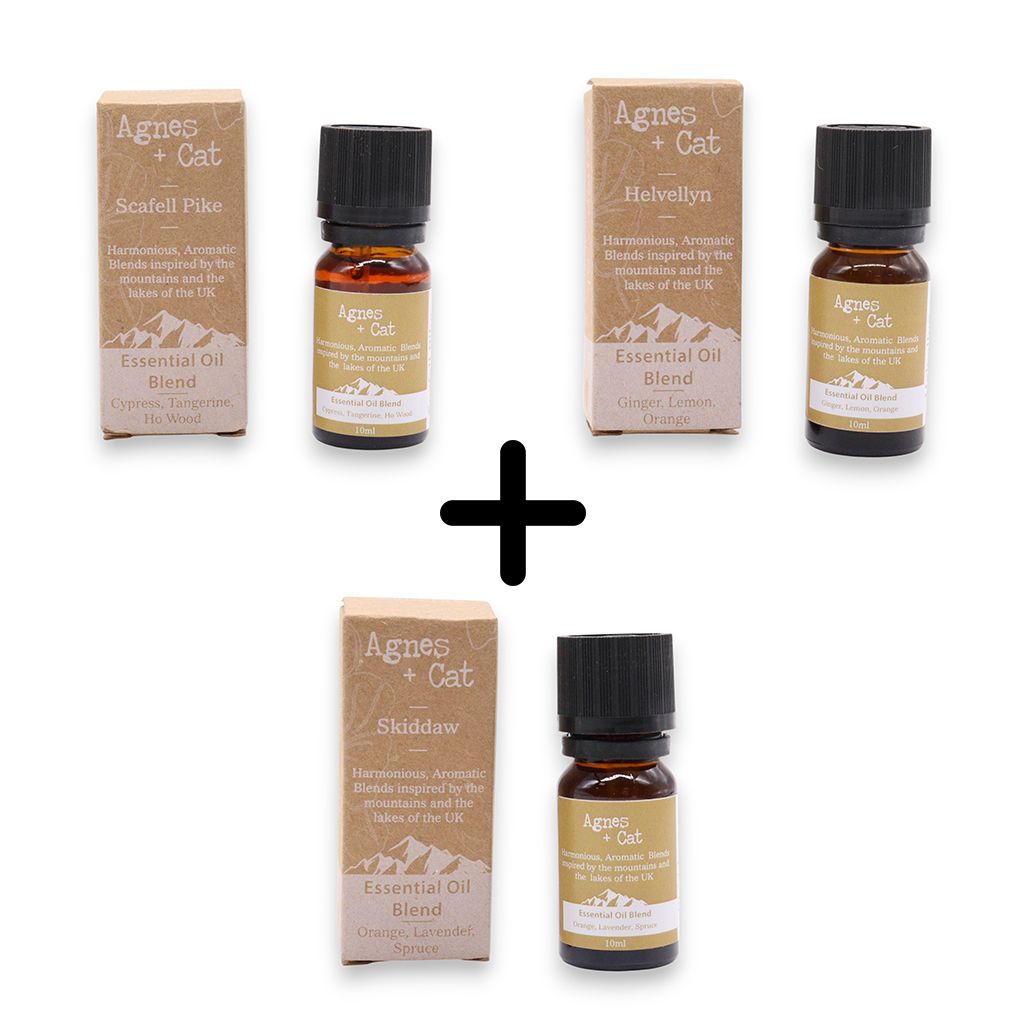 Forest Redelight Essential Oil Blends – Set of 3, tres aceites esenciales en frascos ámbar con cajas, cypress mandarin ho wood