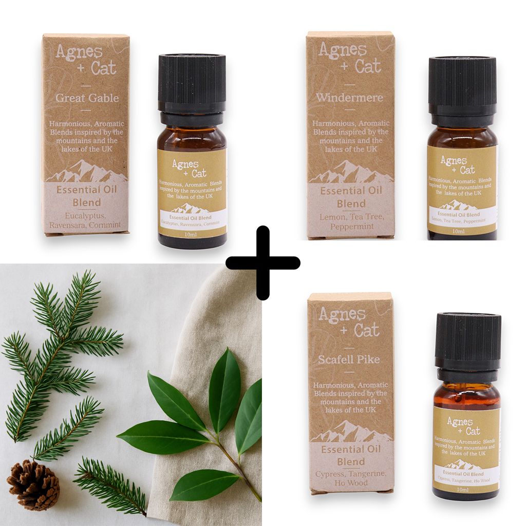 Forest Redelight Essential Oil Blends – Set of 3, set de tres mezclas de aceites esenciales en frascos ámbar con cajas y hojas