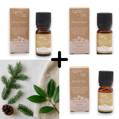 Forest Redelight Essential Oil Blends – Set of 3, set de tres mezclas de aceites esenciales en frascos ámbar con cajas y hojas