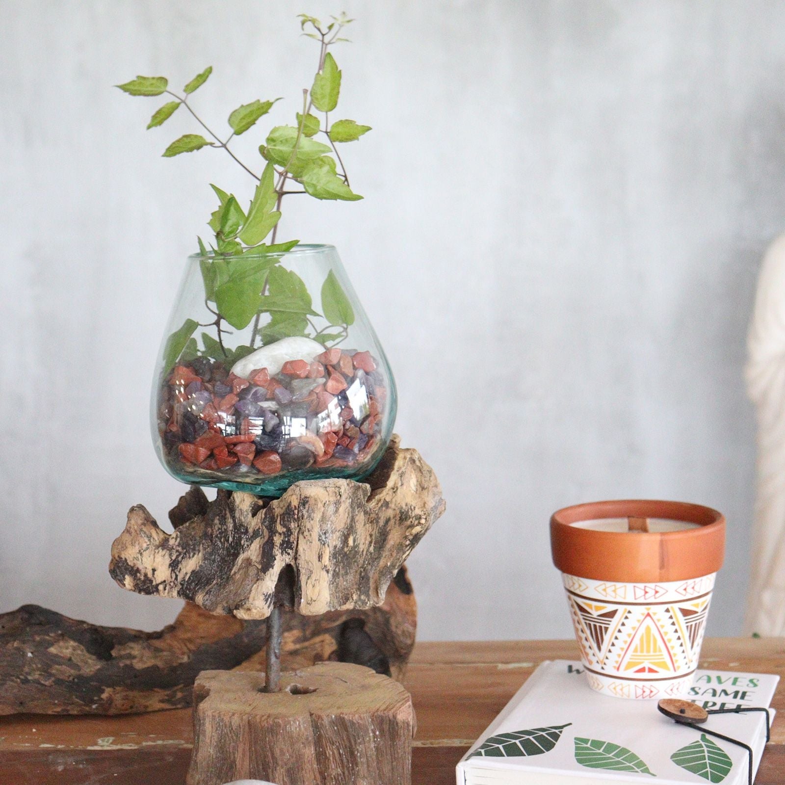 Gamal Wood Molten Glass Bowl – Medium recycled glass bowl on Gamal wood base, styled as tabletop planter with stones and greenery