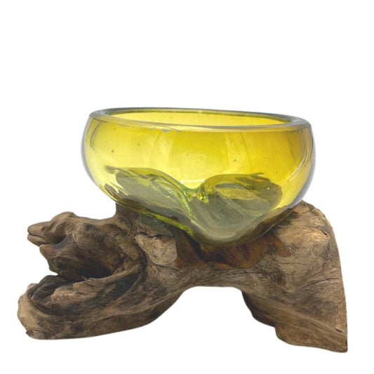 Gamal Wood Molten Glass Bowl – Mini Amber, handgefertigte Bernsteinglasschale, mundgeblasen auf einem naturbelassenen Gamal-Holzsockel