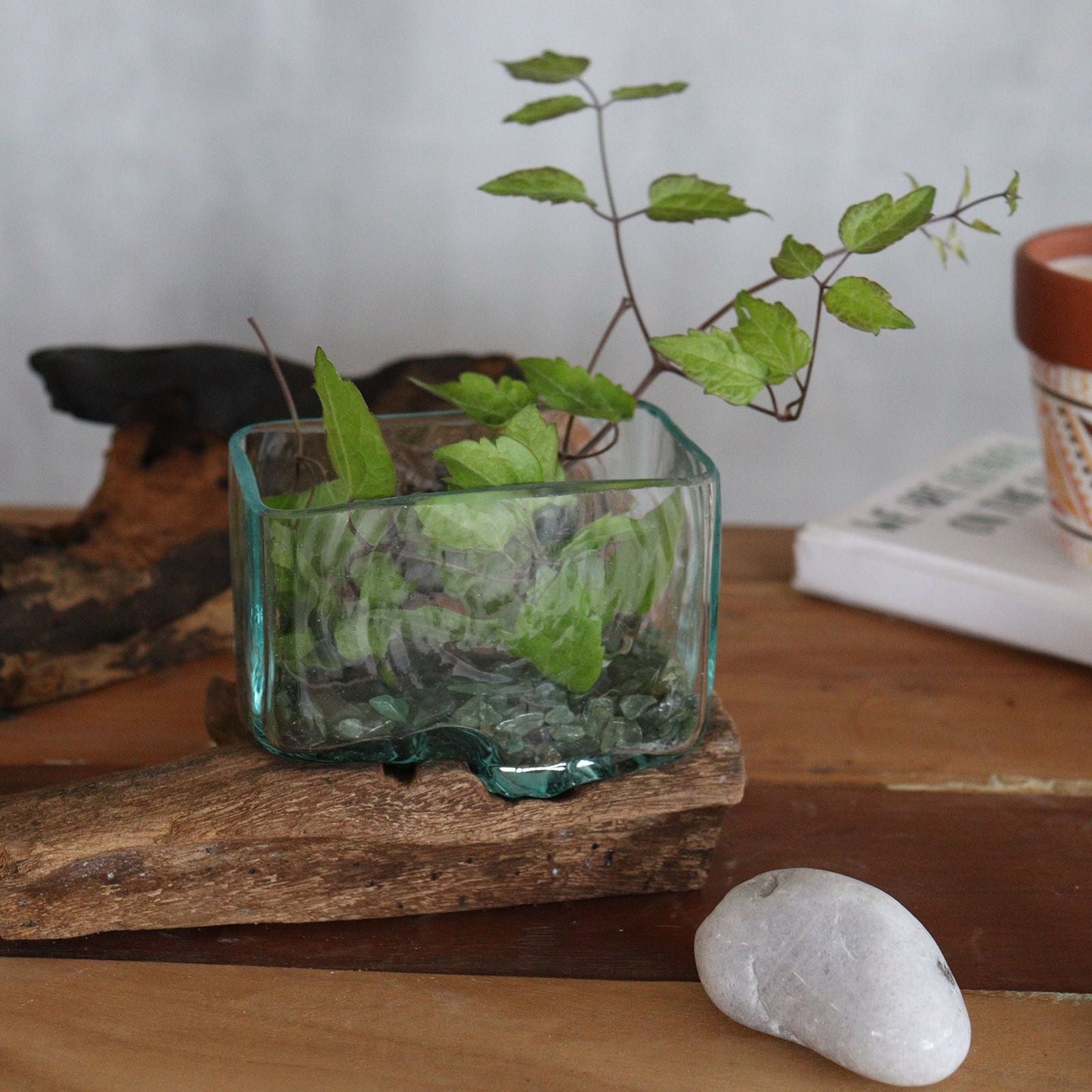 Gamal Wood Molten Glass – liten skål, skål i återvunnet glas på balinesiskt Gamal-träställ, fyrkantigt glaskärl med växt på bordet