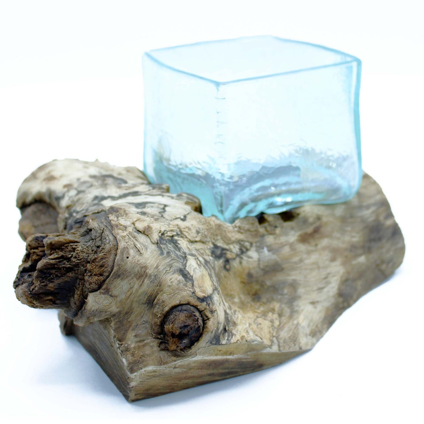 Alt Tag: Gamal Wood Molten Glass Tank – Unique Display Piece, hand-blown glass tank molded on Balinese Gamal wood root centerpiece