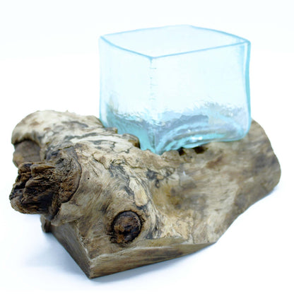 Alt Tag: Gamal Wood Molten Glass Tank – Unique Display Piece, hand-blown glass tank molded on Balinese Gamal wood root centerpiece