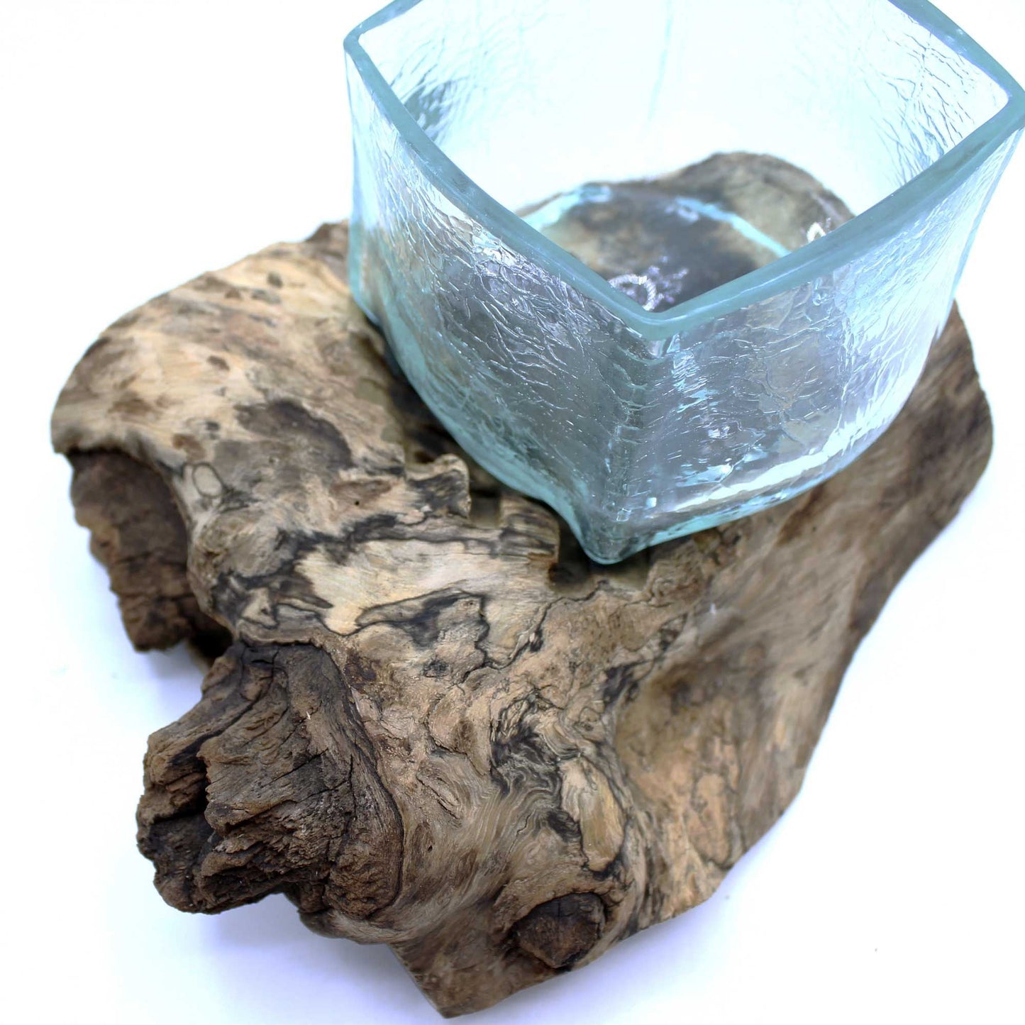 Gamal Wood Molten Glass Tank – Unique Display Piece, hand-blown square glass bowl molded on natural Balinese gamal wood root