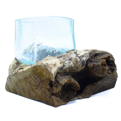 Alt Tag: Gamal Wood Molten Glass Tank – Unique Display Piece, hand-blown glass bowl molded over Balinese gamal wood root base