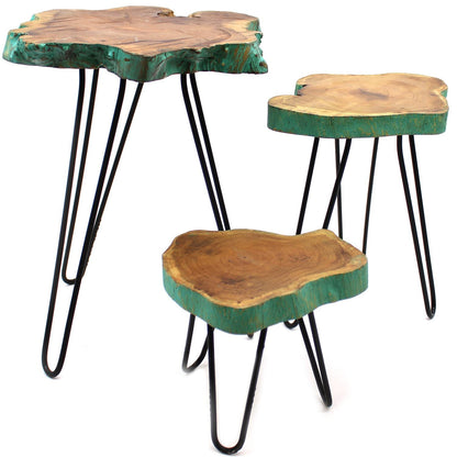 Alt-tag: Gamal Wood Plant Stands – Greenwash Set of 3, set med tre växtställ i trä med greenwash-kant och svarta hairpin-ben
