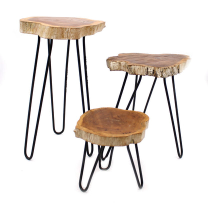 Alt-tag: Gamal Wood Plant Stands – Whitewash set med 3 delar, set med växtställ i trä med bordsskivor med naturlig kant och svarta hairpin-ben i metall