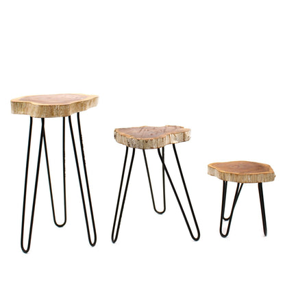 Alt-tagg: Gamal Wood Plant Stands – Whitewash-set med 3 st, växtställ i trä med vitlaserad finish och svarta hairpin-ben i metall