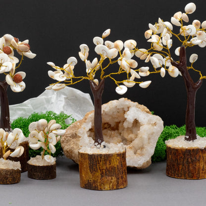 Alt Tag: Gemstone Gomati Chakra Stone Tree – Medium (45 Stones) display with white Gomati Chakra stones on wire branches and wooden base