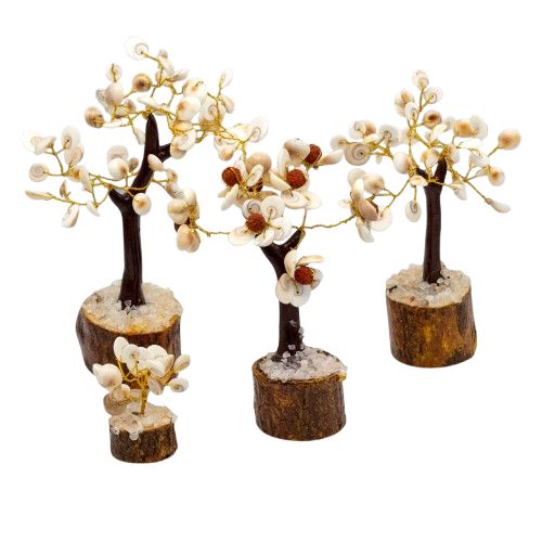 Alt Tag: Gemstone Gomati Chakra Trees – 18x13 CM Set of 4, handmade spiral shell gemstone bonsai decor on wooden base