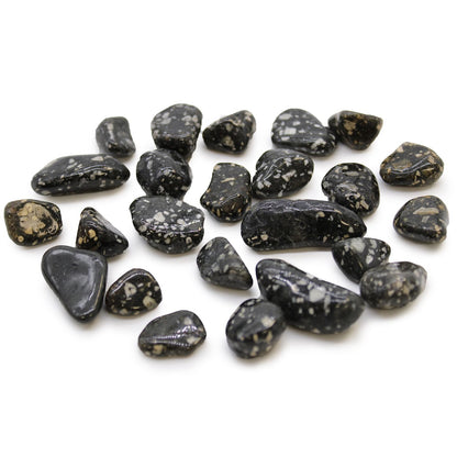 Gemstone Tumble Stones – 24 Piece Guinea Fowl Set, polished black tumble stones with white speckled patterns