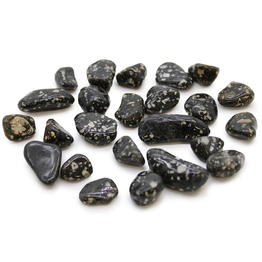 Gemstone Tumble Stones – 24 Piece Guinea Fowl Set, polished black tumble stones with white speckled patterns