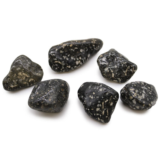 Alt Tag: Gemstone Tumble Stones – Bag of 6 Large, piedras pulidas Guinea Fowl negras con moteado claro, set de seis