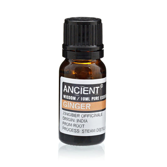 Ginger Essential Oil – 10 ML amber glass bottle with black cap, Ancient Wisdom label, Zingiber officinale, steam distilled, India