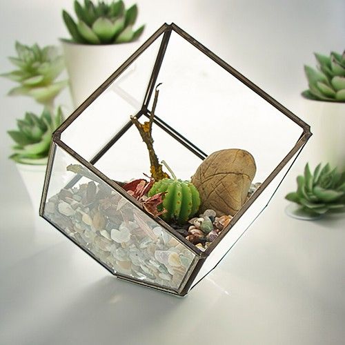 Alt Tag: Glass & Brass Cube Terrarium – 10.5 CM con suculenta, piedras decorativas y marco de latón en forma de cubo
