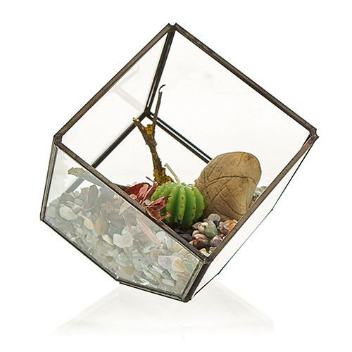 Alt Tag: Glass & Brass Cube Terrarium – 10.5 CM con marco de latón y vidrio, cubo inclinado con suculenta y piedras decorativas