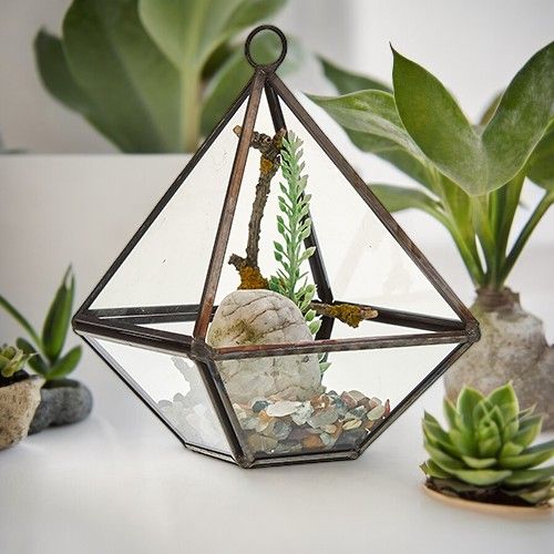 Alt Tag: Glass & Brass Diamond Terrarium – 10x10x14.5 CM with clear glass panels, brass frame, pebble base and small plant decor