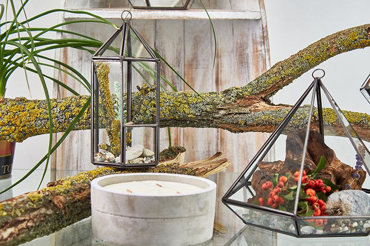 Alt Tag: Glass & Brass Terrarium – Lantern Geometric 20 CM glass and brass geometric lantern terrarium with plants on table decor