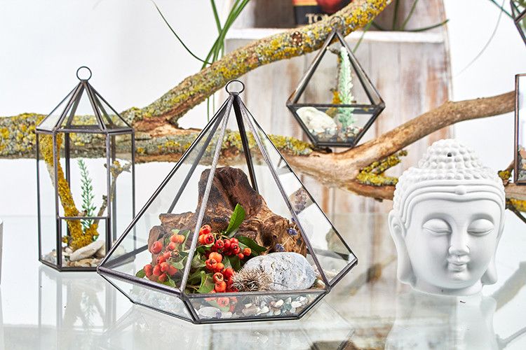 Glass & Brass Terrarium – Lantern Geometric 20 CM de vidrio y latón, terrario geométrico tipo farol para suculentas o plantas de aire