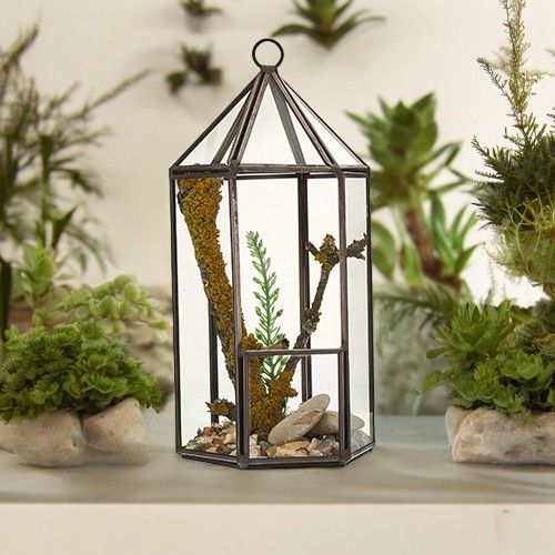 Glass & Brass Terrarium – Lantern Geometric 20 CM, glass and brass geometric lantern terrarium with small plants and pebbles