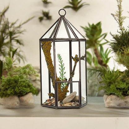 Glass & Brass Terrarium – Lantern Geometric 20 CM, glass and brass geometric lantern terrarium with small plants and pebbles