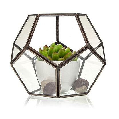 Alt Tag: Glass & Brass Terrarium – Large Octagon with clear glass panels and brass frame, succulent in white pot with decorative stones