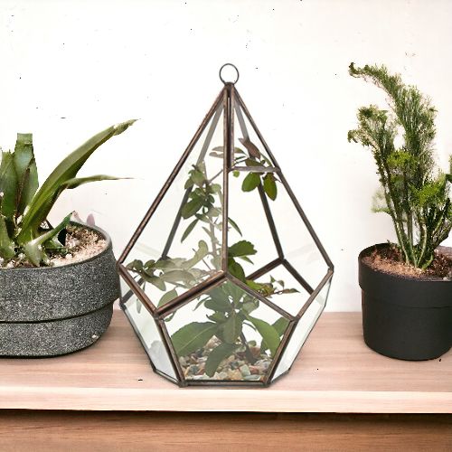 Alt Tag: Glass & Brass Terrarium – Large Pyramid on wooden shelf, clear glass panels with brass frame, pyramid shape with plant inside