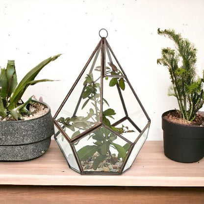 Alt Tag: Glass & Brass Terrarium – Large Pyramid on wooden shelf, clear glass panels with brass frame, pyramid shape with plant inside