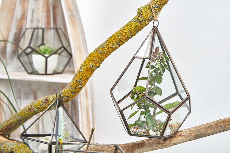 Glass & Brass Terrarium – Large Pyramid colgante de vidrio y latón con plantas suculentas, diseño geométrico tipo pirámide grande