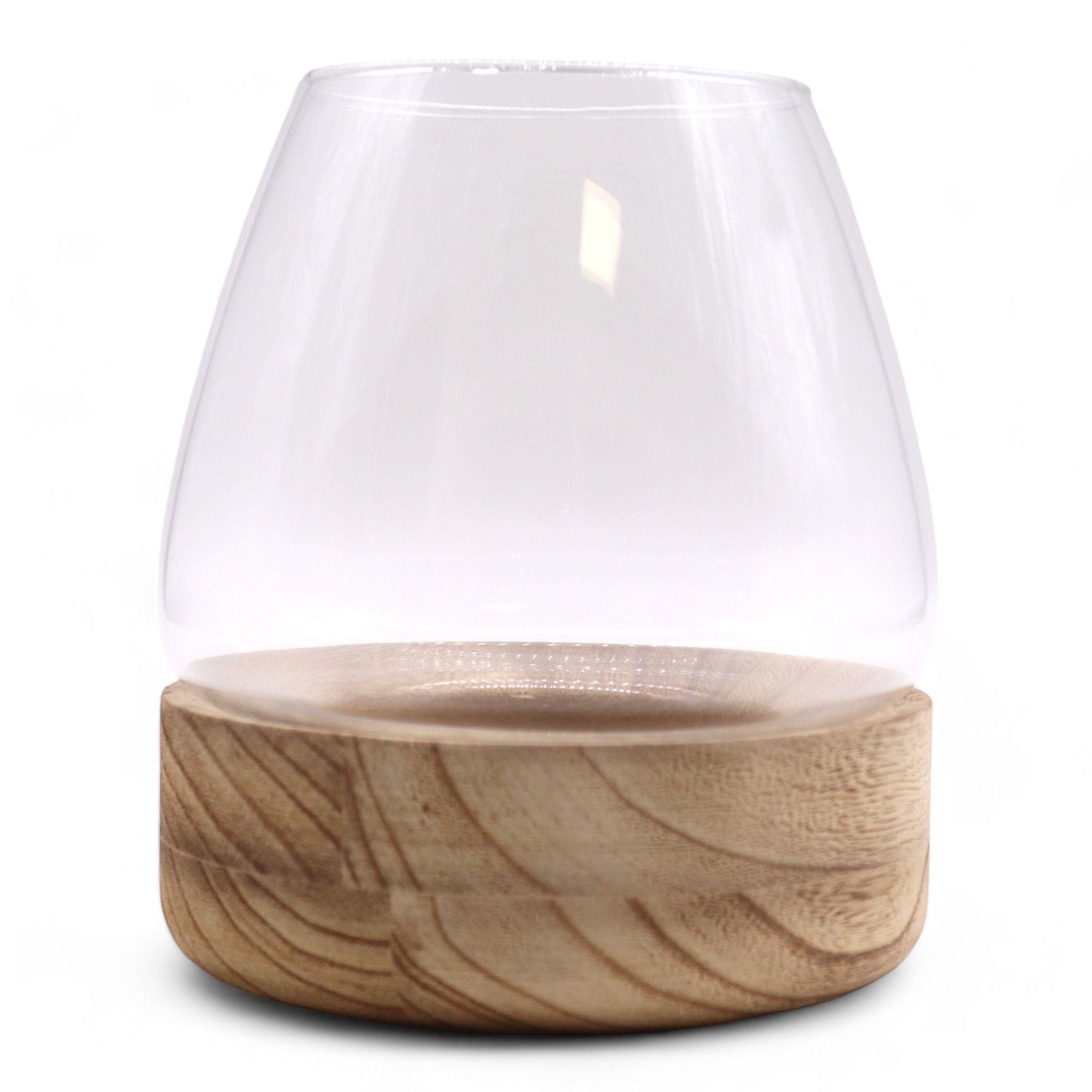 Glass Terrarium – Natural Tung Wood 17x19 CM, terrario de vidrio transparente con base de madera tung natural