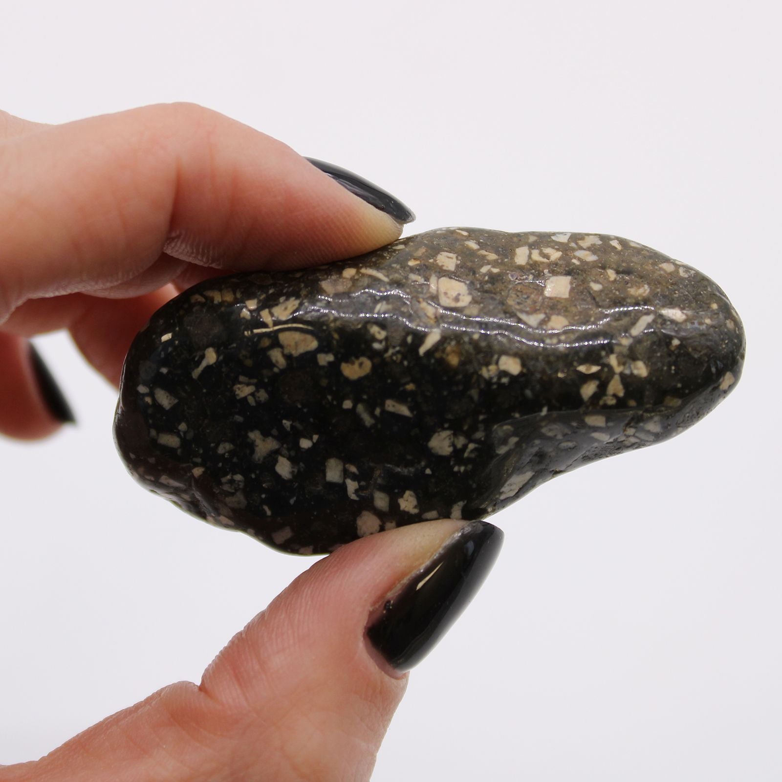 Alt Tag: Gemstone Tumble Stones – Bag of 6 Large, piedra pulida Guinea Fowl negra con motas claras sostenida entre los dedos