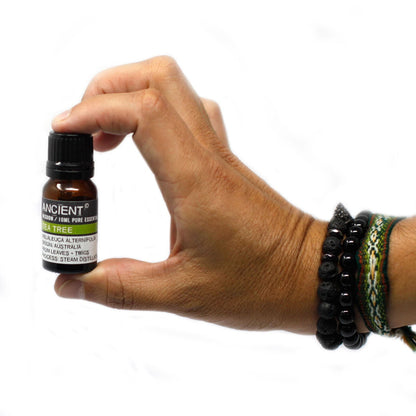 Alt-Tag: Hand, die ätherisches Spearmint-Öl hält – 10ML Flasche, 10 ml dampfdestilliertes ätherisches Öl zur Aromatherapie-Anwendung