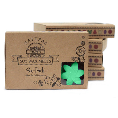 Alt Tag: Soy & Palm Wax Melts Gift Set – Hidden Garden soy wax melts six-pack in kraft box with green flower-shaped melts