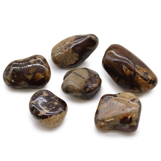 Jasper Nguni Gemstone Tumble Stones – Large Set of 6, polished African jasper tumbled stones with natural brown and tan patterns