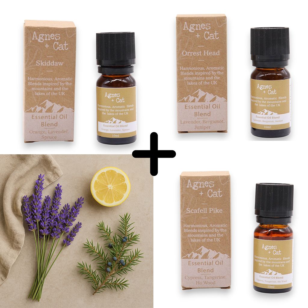Lavender & Bergamot Essential Oil Set – 3 x 10ML with three 10ml essential oil blend bottles and boxes, Agnes + Cat