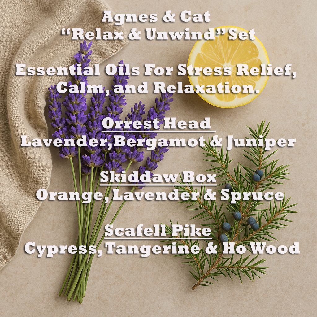 Lavender & Bergamot Essential Oil Set – 3 x 10ML, Agnes & Cat Relax & Unwind set with lavender sprigs, bergamot slice and juniper