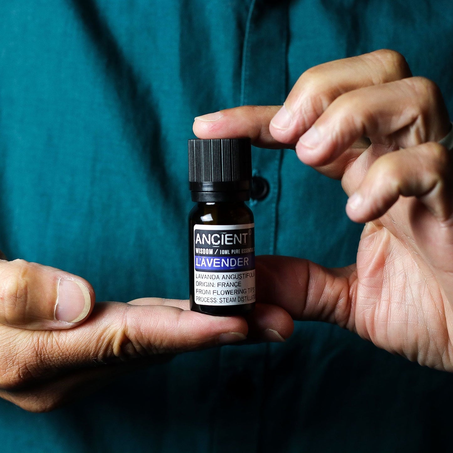 Alt Tag: Lavender Essential Oil – 10 ML bottle held in hands, Lavandula angustifolia essential oil 10 ml