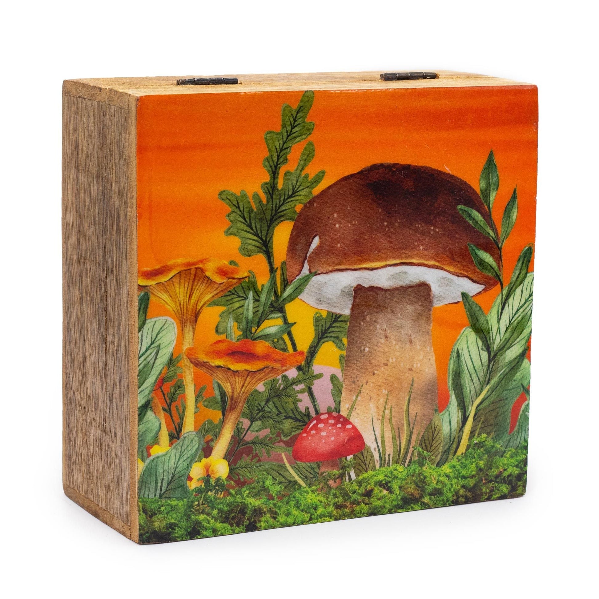 Mango Wood Box – Mushroom Design, 15x17.5x8 CM with colorful mushroom and botanical illustration on front