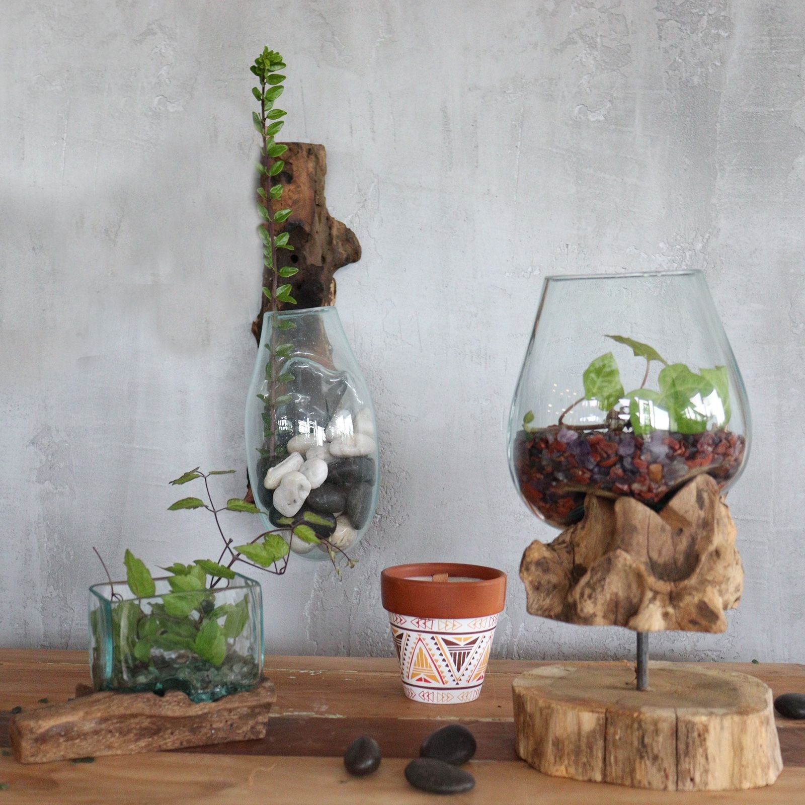 Smält glas på trä – hängande skål hängande terrariumskål på naturlig träbas med växter, handgjord glasdekoration från Bali