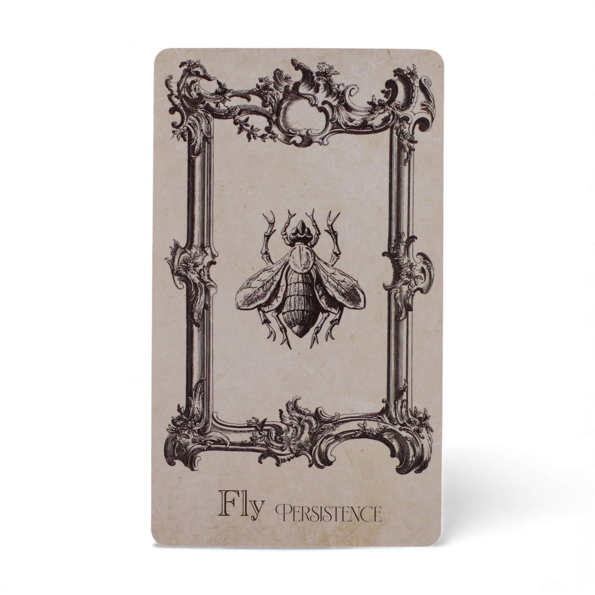 Mystical Oracle Cards – 12x7.5 CM Witchcraft Deck card featuring ornate frame with fly illustration and “Fly Persistence” text