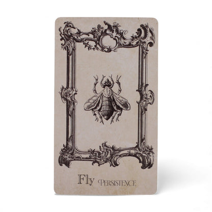 Mystical Oracle Cards – 12x7.5 CM Witchcraft Deck card featuring ornate frame with fly illustration and “Fly Persistence” text