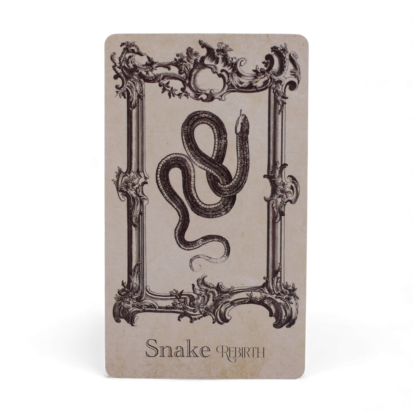 Alt Tag: Mystical Oracle Cards – 12x7.5 CM Witchcraft Deck Snake Rebirth oracle card with ornate frame and coiled snake illustration