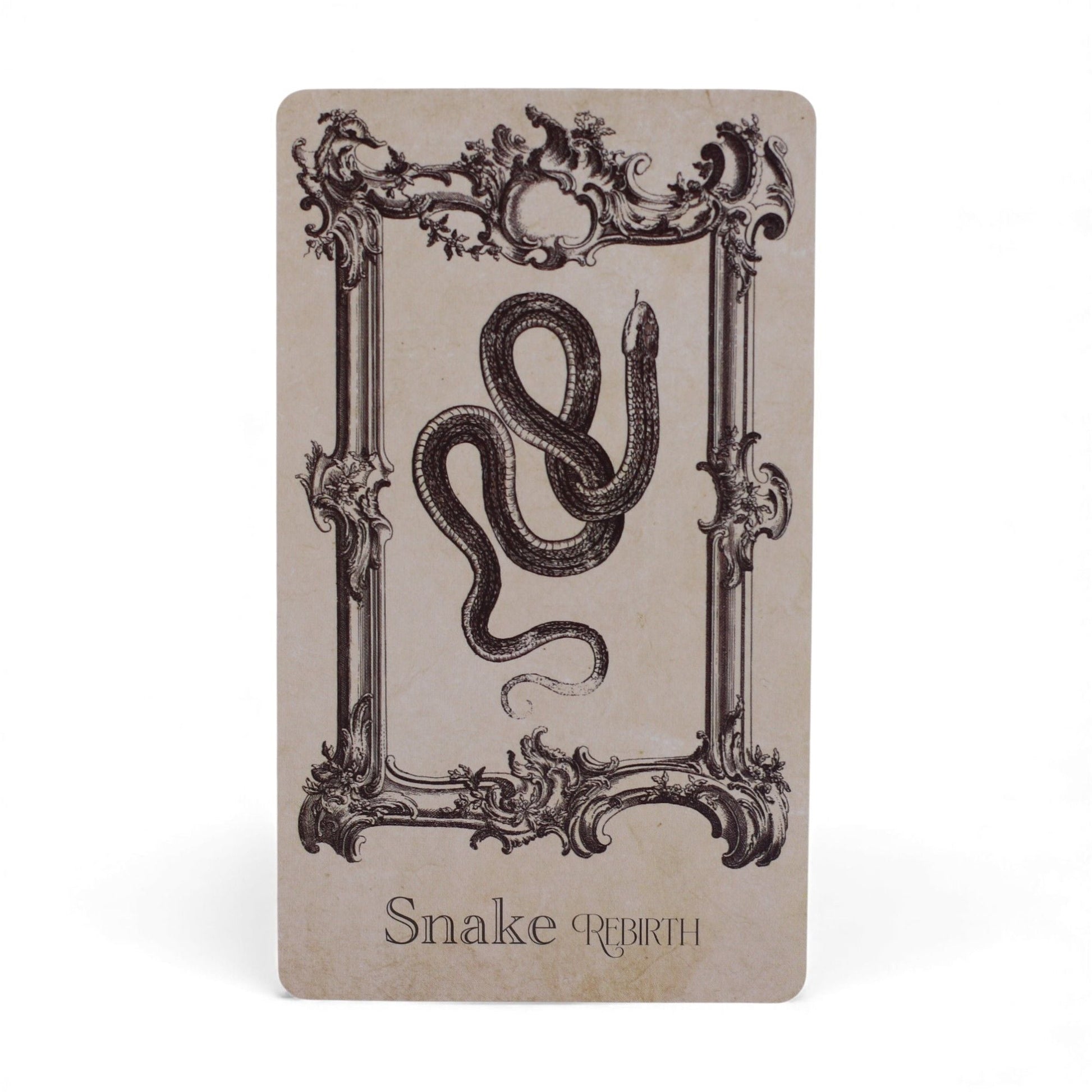 Alt Tag: Mystical Oracle Cards – 12x7.5 CM Witchcraft Deck Snake Rebirth oracle card with ornate frame and coiled snake illustration