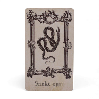 Alt Tag: Mystical Oracle Cards – 12x7.5 CM Witchcraft Deck Snake Rebirth oracle card with ornate frame and coiled snake illustration