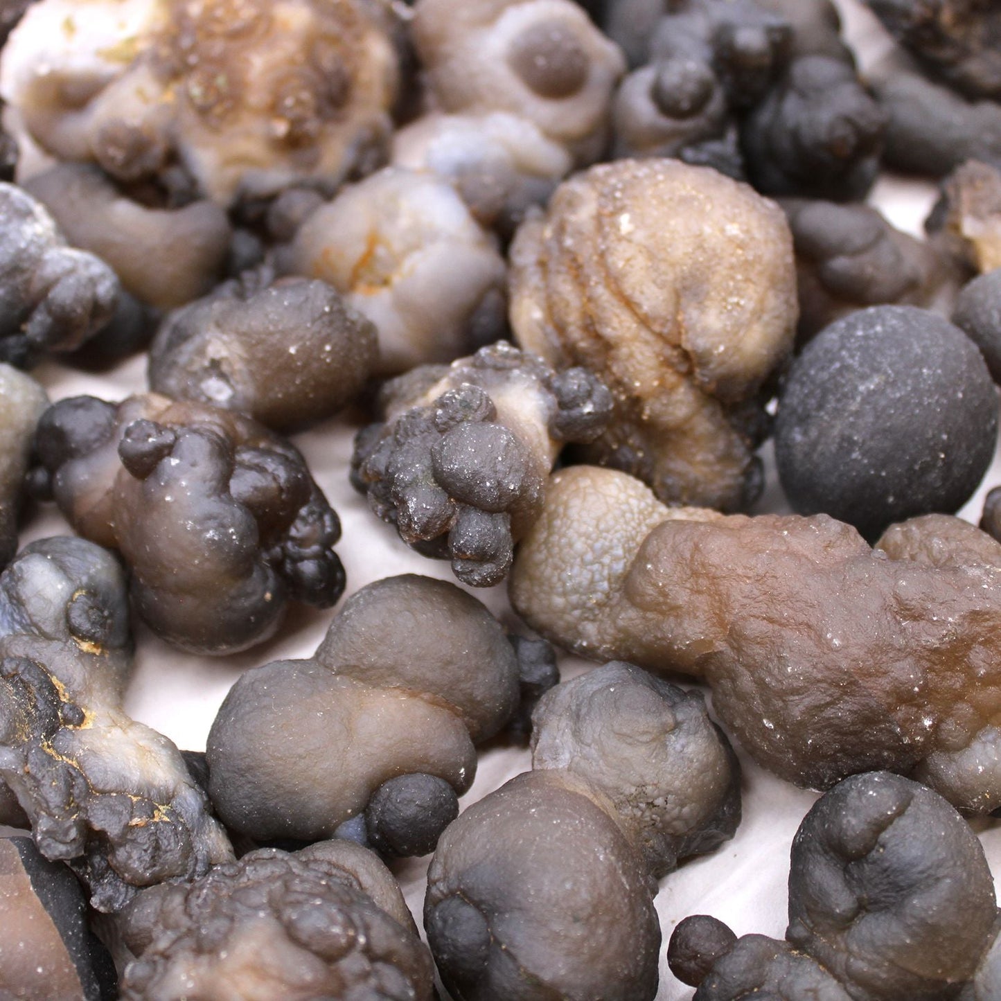 Alt Tag: Natural Chalcedony Mineral Specimens – 100-Piece Set, close-up of assorted chalcedony mineral pieces in gray, brown, and black textures